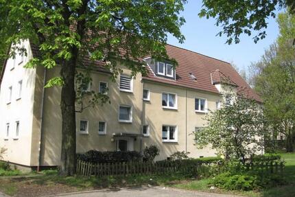 Reinkommen und Wohlfühlen: interessante 2-Zimmer-Wohnung - Gladbeck Brauck