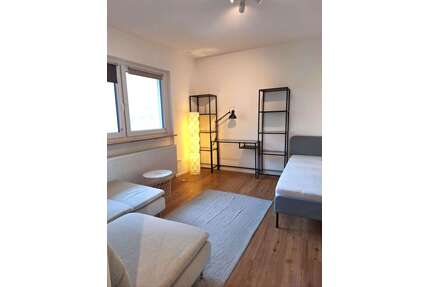 Wohnung zum Mieten in Nürnberg 750,00 € 29.53 m²