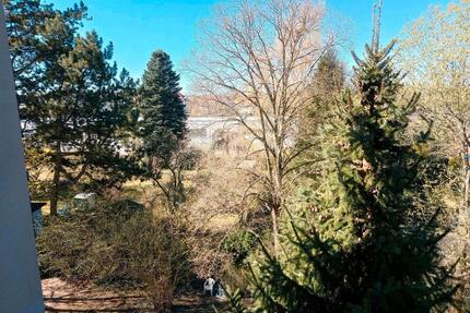 1 Zimmer Wohnung Dresden Strehlen provisionfrei bezugsfertig