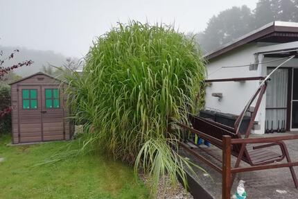 Kleingarten in Peitz - 1.950,00&nbsp;EUR Kaltmiete, ca.&nbsp; 0,00&nbsp;m&sup2; in Peitz (PLZ: 03185)