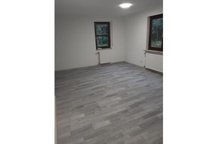 1,5 Zimmer helle Wohnung zu vermieten Freiberg am Neckar