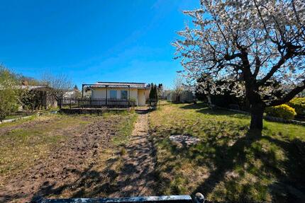 Pachtgarten mit Massiver Laube in ruhiger Lage - Neubrandenburg Carlshöhe