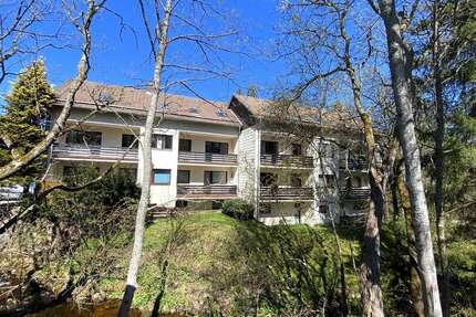 Wohnung zum Mieten in Braunlage 300,00 € 35 m²