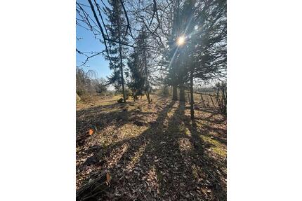 2000-3000m2 Fläche zur Miete - 800,00&nbsp;EUR Kaltmiete, ca.&nbsp; 0,00&nbsp;m&sup2; in Pinneberg (PLZ: 25421)