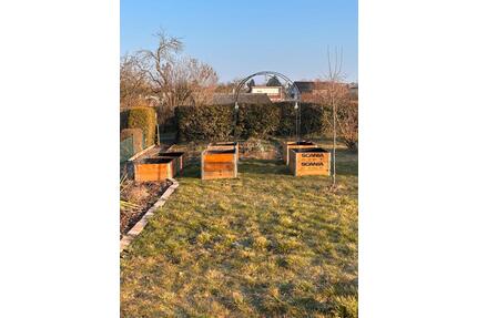 Garten Schrebergarten abzugeben Familiengarten - Wolfenbüttel