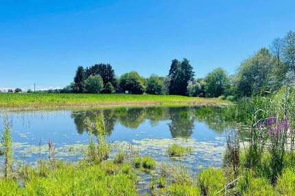 Haus zum Kaufen in Markdorf 890.000,00 € 90 m²