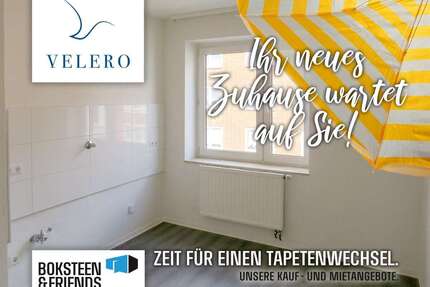 Wohnung zum Mieten in Gelsenkirchen 300,00 € 43 m²