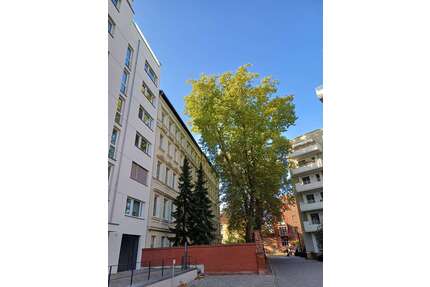 Wohnung zum Mieten in Berlin 2.145,00 € 126 m²
