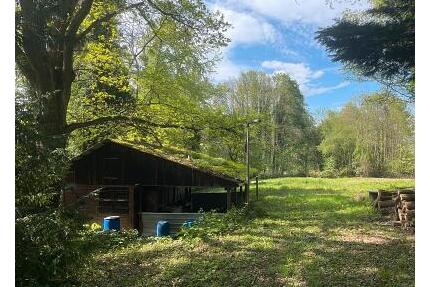 IHR GANZ PRIVATES STÜCK NATUR - 59.000,00&nbsp;EUR Kaufpreis, ca.&nbsp; 7.500,00&nbsp;m&sup2; in Kuppenheim (PLZ: 76456)