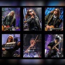 Dr. Woo´s Rock`n`Roll Circus - Der Rock`n`Roll Rausch der Sinne