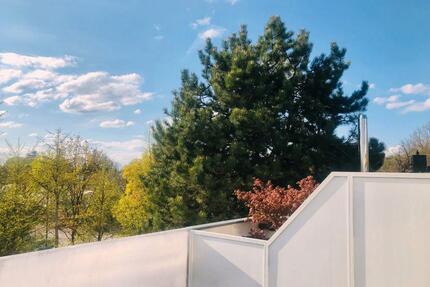 Sonniges, ruhiges Reihenhaus mit Dachterrasse direkt am Westpark - München Sendling-Westpark