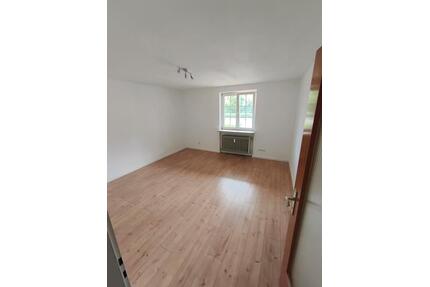 Schöne 2-Zimmer-Wohnung im Erdgeschoss in Bachheim zu vermieten - Löffingen