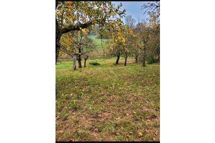 Obstwiese zu verpachten - 150,00&nbsp;EUR Kaltmiete, ca.&nbsp; 0,00&nbsp;m&sup2; in Markgröningen (PLZ: 71706)