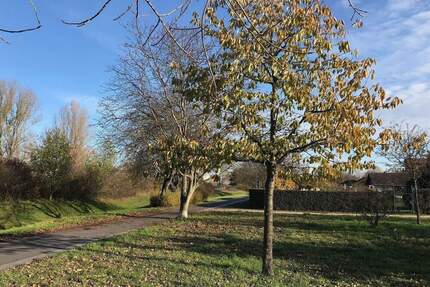 Unweit vom Bahnhof Spandau, eine wunderbare sonnige, grüne und ruhige Oase! - Berlin