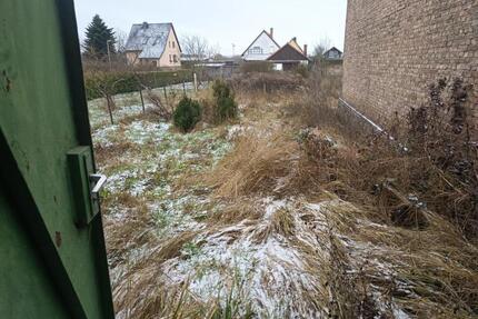 Grundstück mit Scheune und Haus zu verpachten - Märkisch Linden
