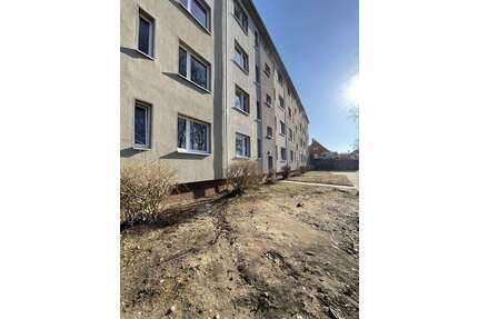 Wohnung zum Mieten in Kiel 459,00 € 39.66 m²