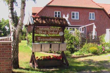 1-Zi. -Appartement voll ausgestattet f. Pendler o.Trennungsopfer - Toppenstedt