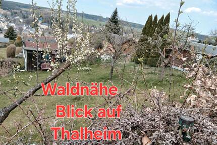 Gartenland, kein Pachtland - 2.900,00&nbsp;EUR Kaltmiete, ca.&nbsp; 0,00&nbsp;m&sup2; in Zwönitz (PLZ: 08297)