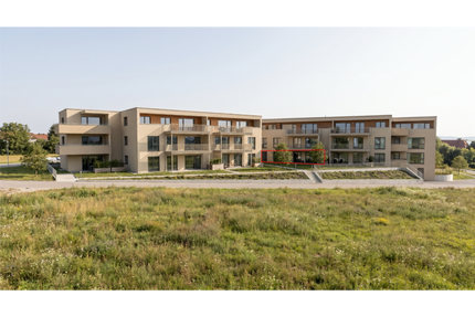Wohnung zum Kaufen in Langenau 602.500,00 € 116 m²