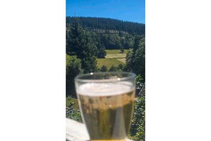 FerienhausEinfamilienhaus in Thüringer Wald zu verkaufen - Floh-Seligenthal
