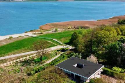 Haus zum Kaufen in Greifswald 2.950.000,00 € 490 m²