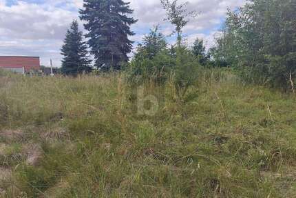 Grundstück zu verkaufen in Wermsdorf 90.000,00 € 1500 m²