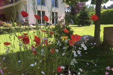 Ruhe. Natur. Zuhause. – Modernes Haus inmitten einer Waldoase - Ahlerstedt
