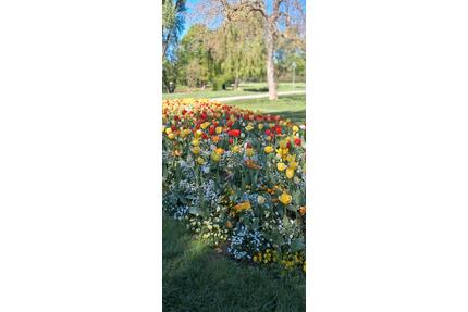 Garten Pachten heilbronn - 3.000,00&nbsp;EUR Kaltmiete, ca.&nbsp; 0,00&nbsp;m&sup2; in Heilbronn (PLZ: 74072)