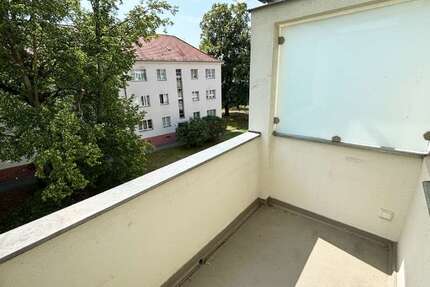Wohnung zum Mieten in Dresden 550,00 € 55 m²