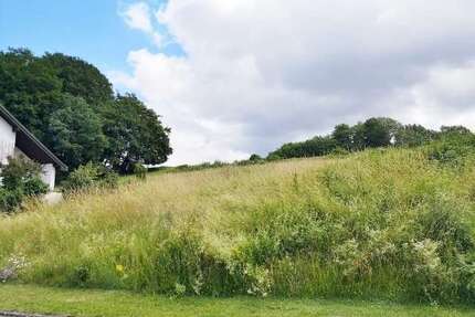 Grundstück zu verkaufen in Balesfeld 25.000,00 € 521 m²