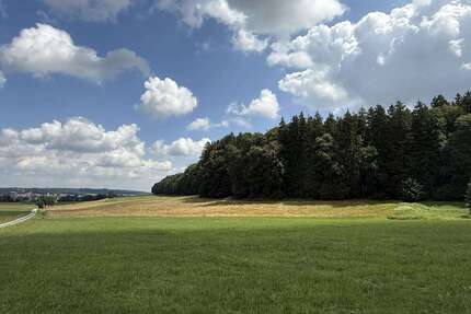 Grundstück in Tussenhausen 84.000,00 € 12910 m²