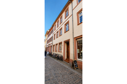 Haus zum Kaufen in Heidelberg-Altstadt 1.640.000,00 € 295.09 m²