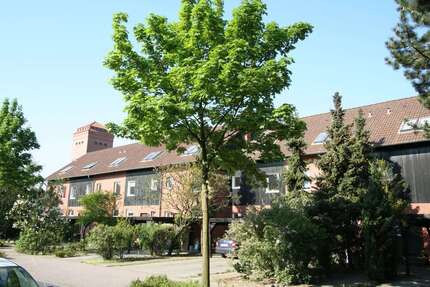 Haus zum Mieten in Burgdorf 1.379,00 € 125 m²