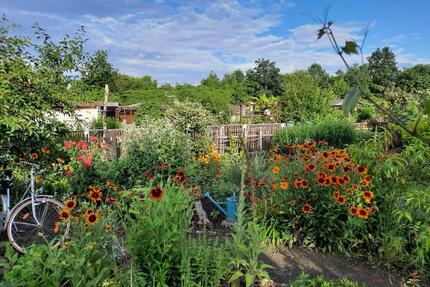 Schöner Kleingarten im KGV Sonnenglück abzugeben - Leipzig Nordost
