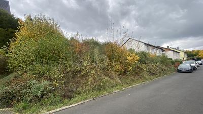 IHR PLATZ AN DER SONNE! - 100.000,00&nbsp;EUR Kaufpreis, ca.&nbsp; 779,00&nbsp;m&sup2; in Borken (PLZ: 34582)
