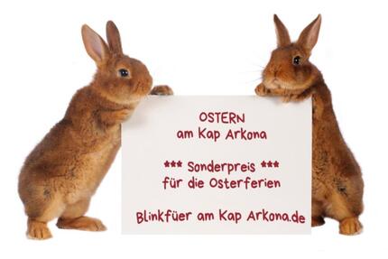 Kap Arkona-Privat-Ferienwohnung nahe der schönsten Strände Rügens - Dranske