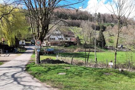Bauernhof für Freizeitpferdehaltung im vorderen Kinzigtal - Berghaupten