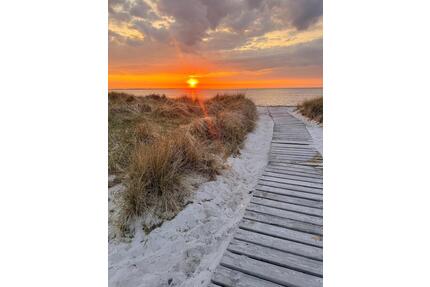 Ostsee Ferien uo Wohnung mit Terrasse Direkt am Wasser oh.Makler - Laboe