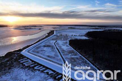 Grundstück in Zingst 119.900,00 € 148139 m²