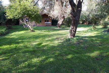 Parkähnliches Grundstück mit Bauoption in Stadtlage - Forst (Lausitz) Forst-Stadt