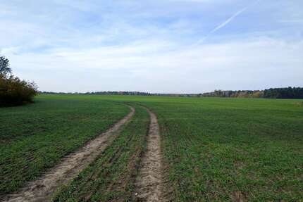 Grundstück zu verkaufen in Stahnsdorf Güterfelde 49.000,00 € 10370 m² - Stahnsdorf / Güterfelde