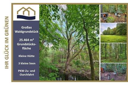 Über 2 ha Mischwald mit 3 kleinen Seen bei Rastede - Freizeitparadies zum entschleunigen