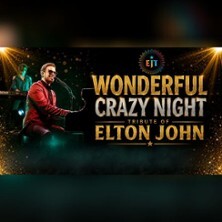 EJT - A Tribute to Elton John / Wonderful Crazy Night