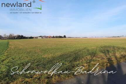 Grundstück zu verkaufen in Schönwölkau Badrina 49.001,00 € 20822 m² - Schönwölkau / Badrina