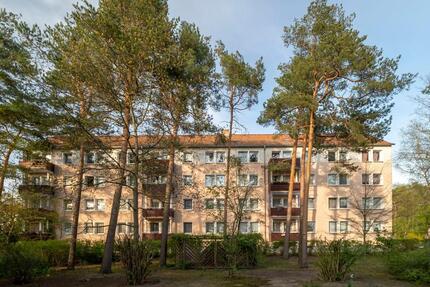 2-Raum-Wohnung im Grünen - 275,00&nbsp;EUR Kaltmiete, ca.&nbsp; 45,00&nbsp;m&sup2; in Bad Liebenwerda (PLZ: 04924)