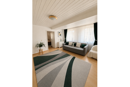 Wohnung zum Kaufen in Heidelberg-Kirchheim 225.000,00 € 50.13 m²