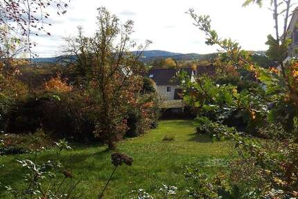 eubau Ein-Zweifamilienhaus mit schönem Fern-Weitblick in Richtung Süden!!! - Forchheim Reuth