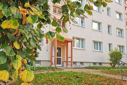 Wohnung zum Mieten in Freiberg 420,00 € 60 m²