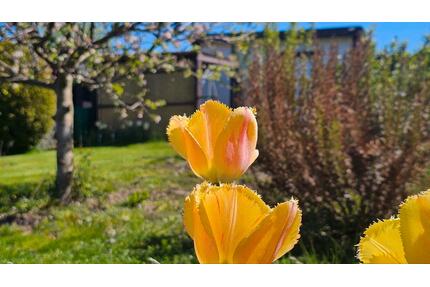 Garten | Limbach-Oberfrohna | Ausgestattet | Sehr gute Zustand