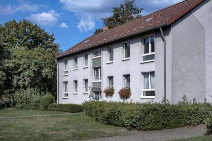 Wohnung zum Mieten in Herne 379,00 € 45 m²